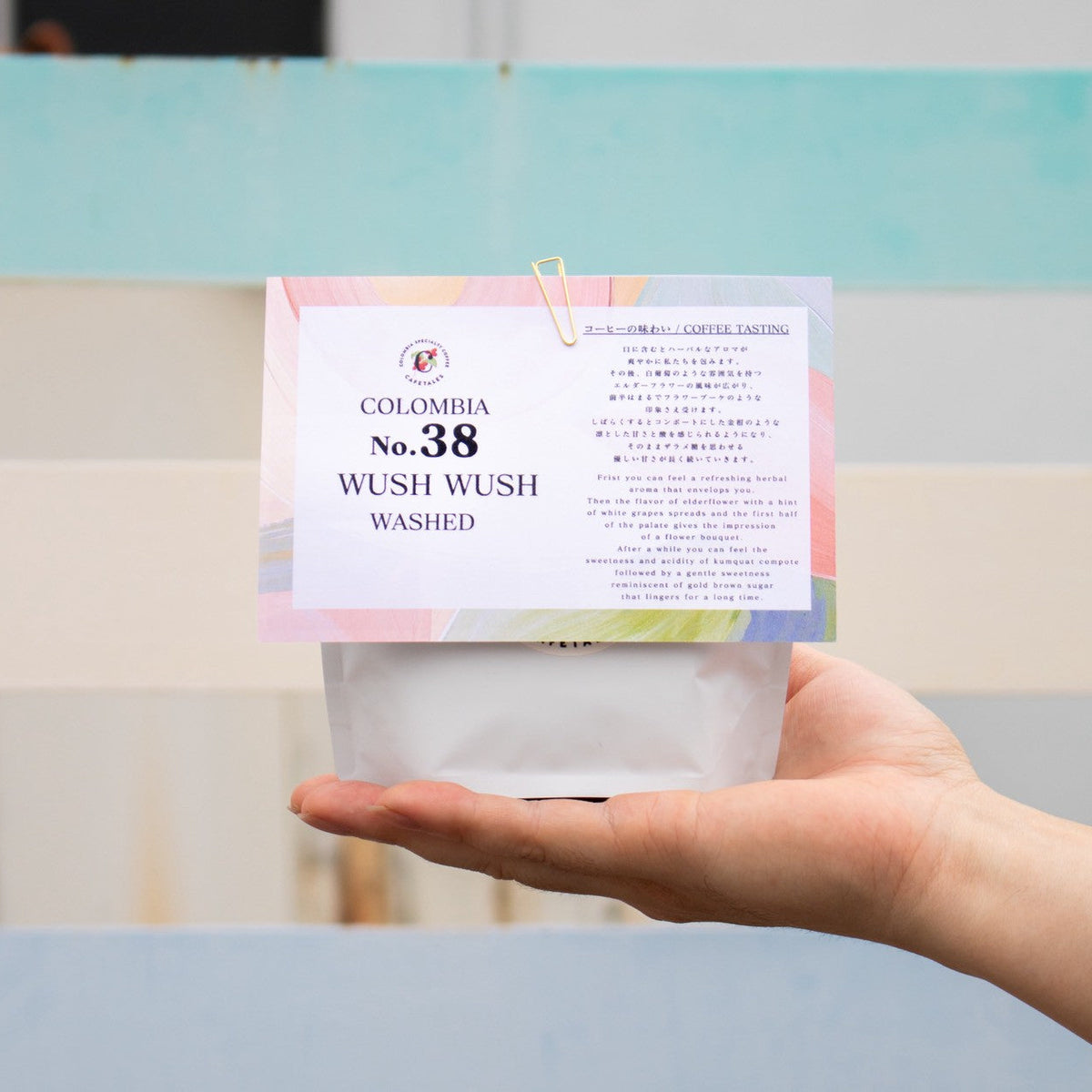 No.38 WUSH WUSH WASHED