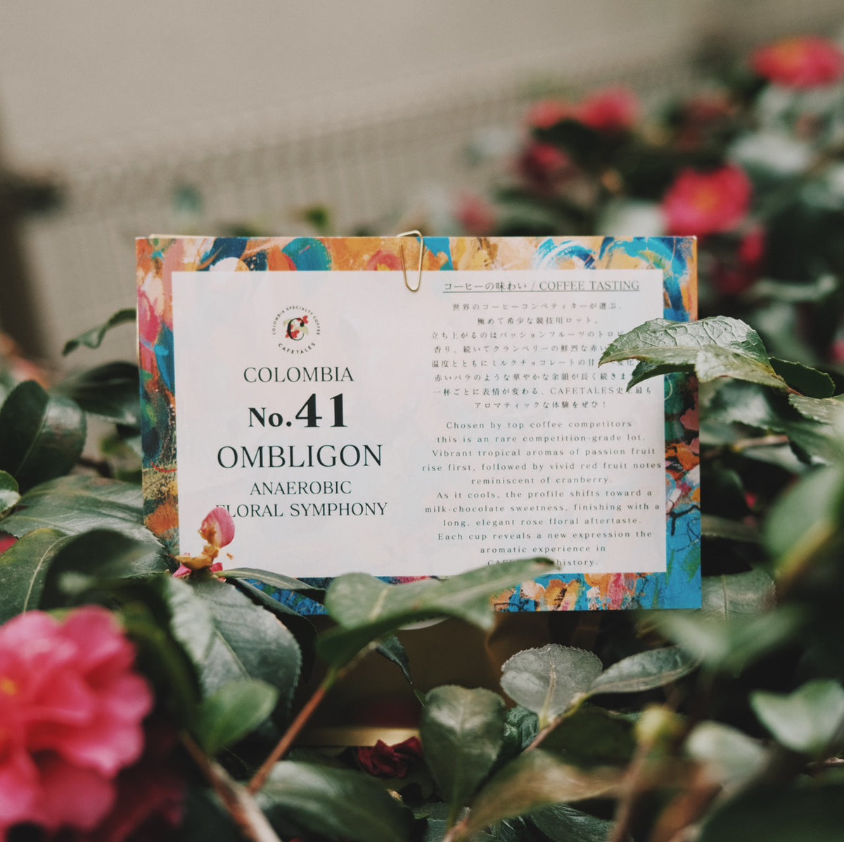 No.41 OMBLIGON ANAEROBIC FLORAL SYMPHONY